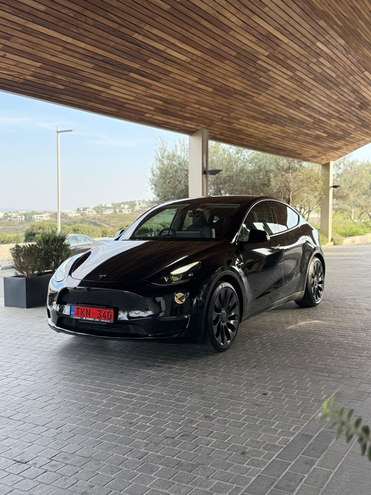 TESLA MODEL Y